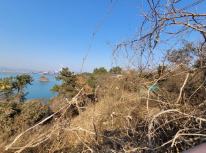 사진 58