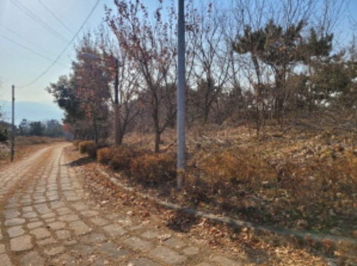 사진 64