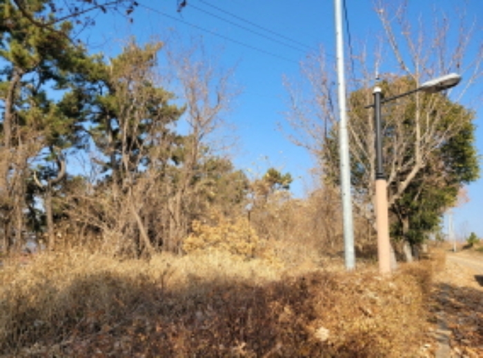 사진 65