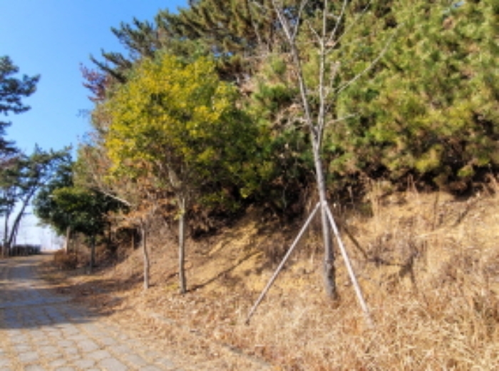 사진 67