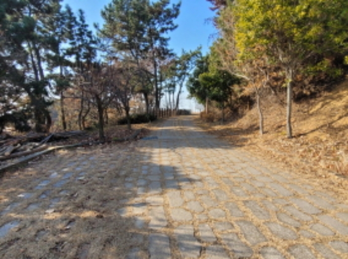사진 68