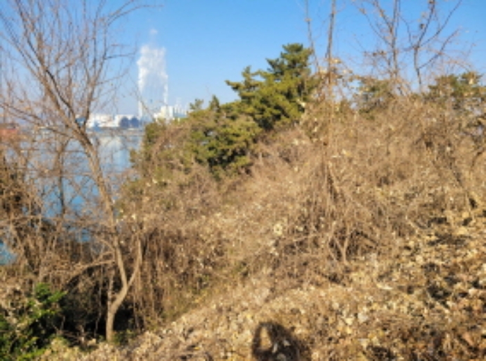 사진 72