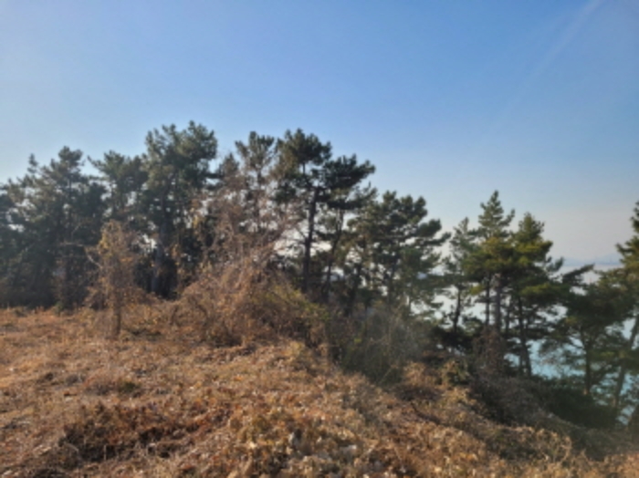 사진 74