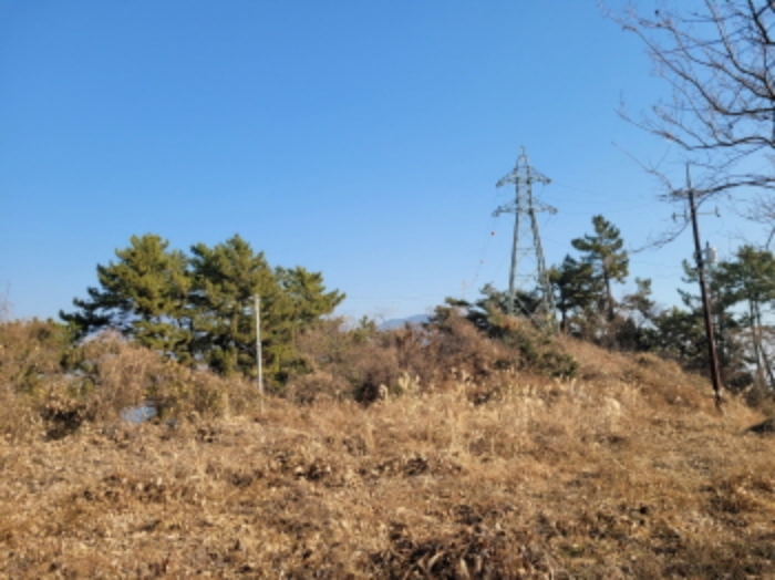 사진 75