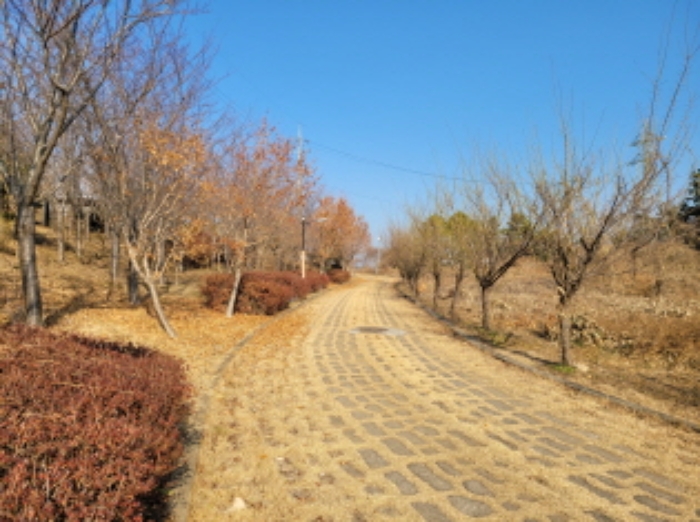 사진 76