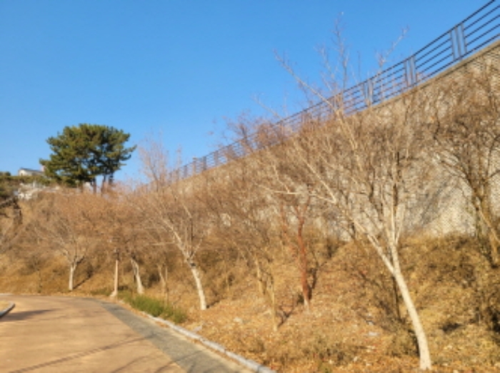 사진 79