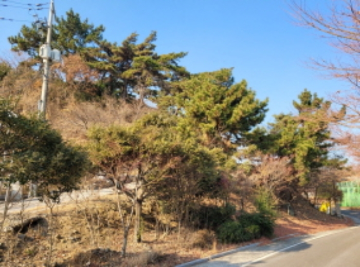 사진 87