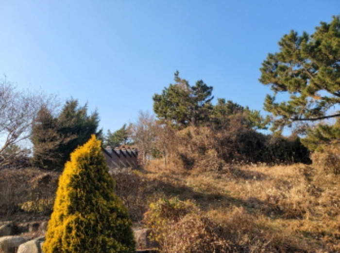 사진 88