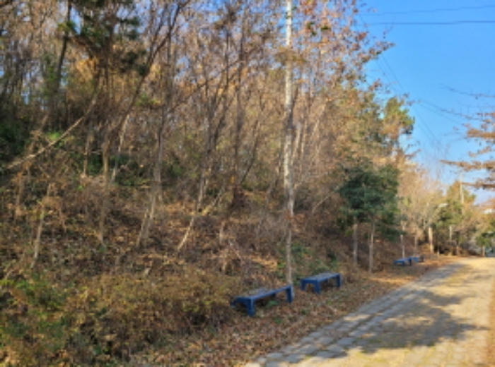 사진 89
