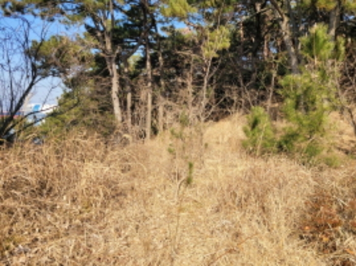 사진 10