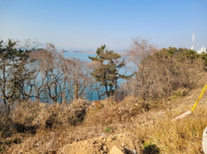 사진 96