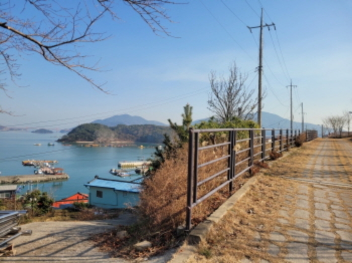 사진 98
