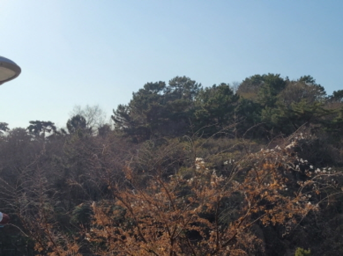 사진 99