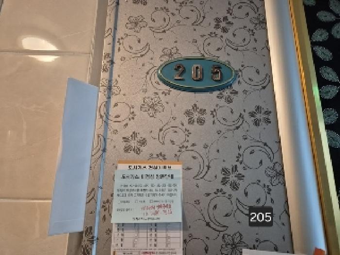 사진 41