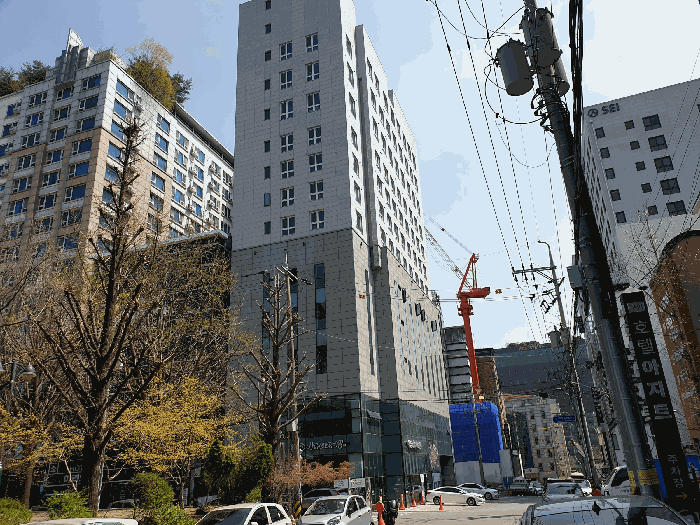 사진 5
