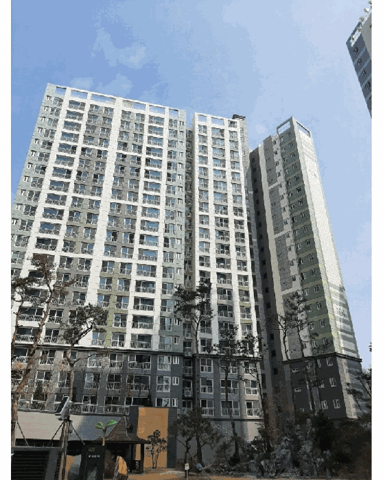 사진 6