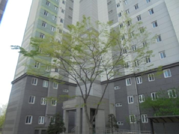 사진 7