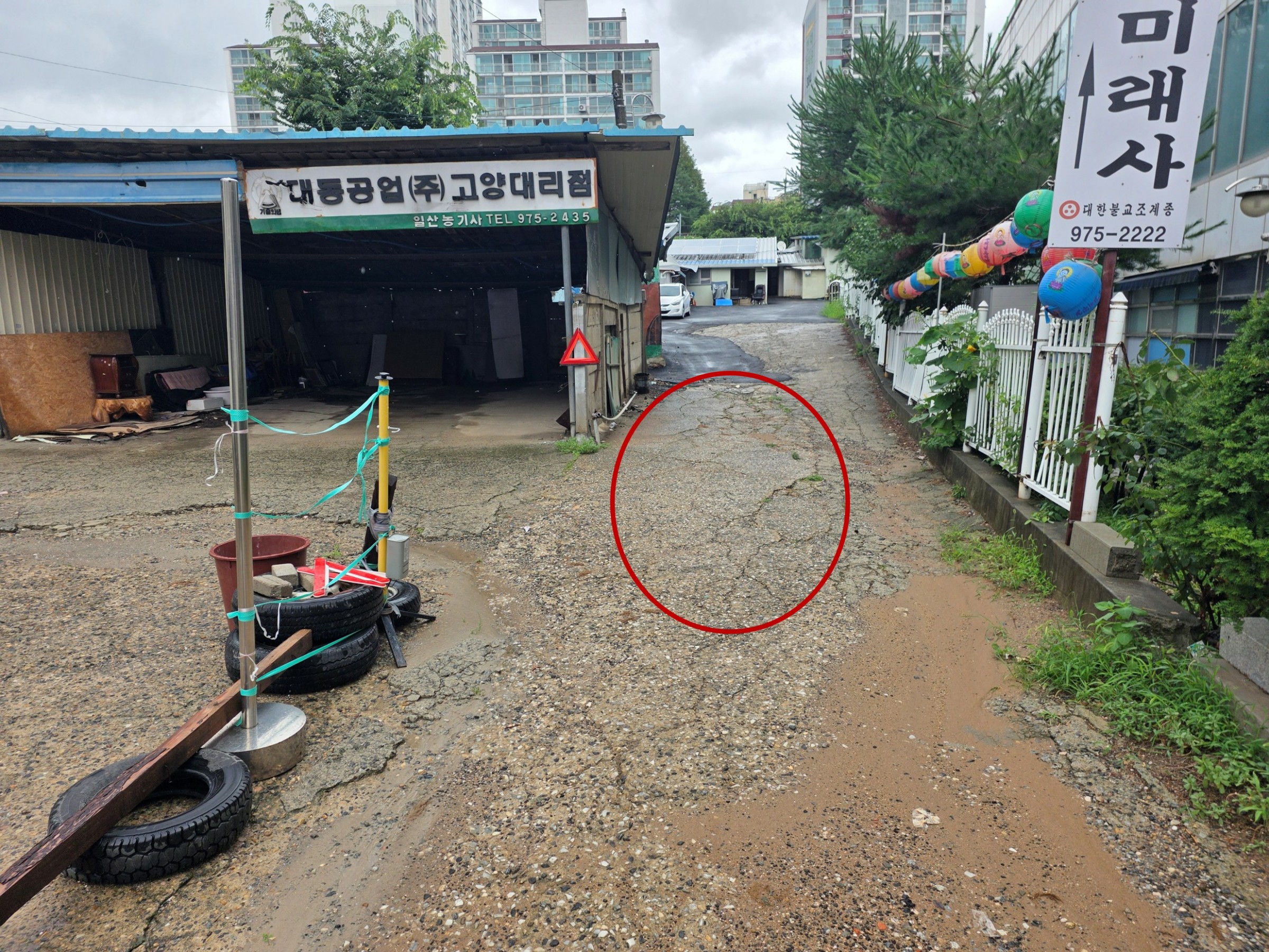 사진 1