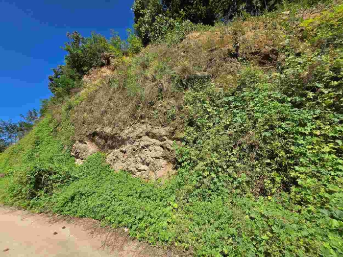 사진 3