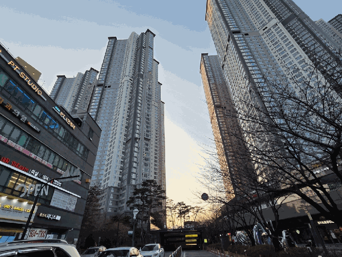 사진 1