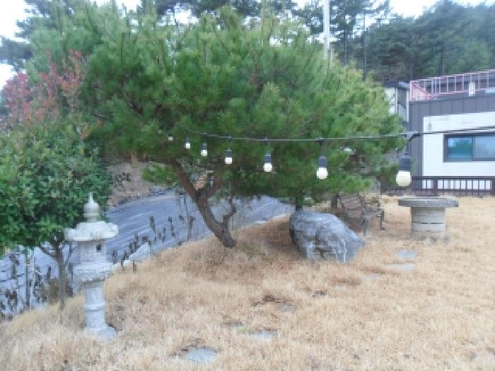 사진 21