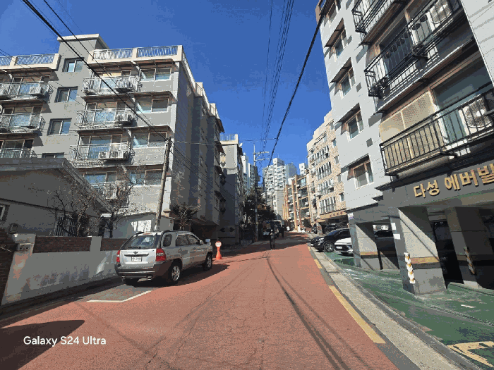 사진 6