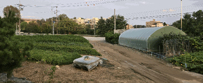 사진 17