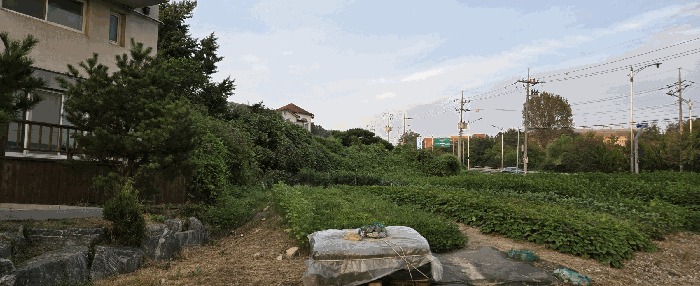 사진 20