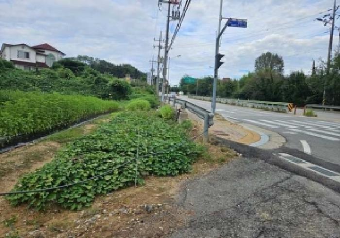 사진 8