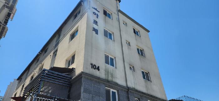 사진 12