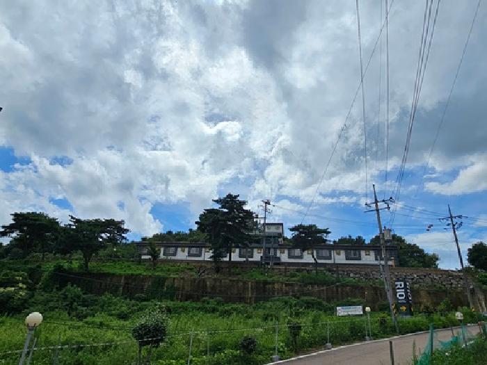 사진 28
