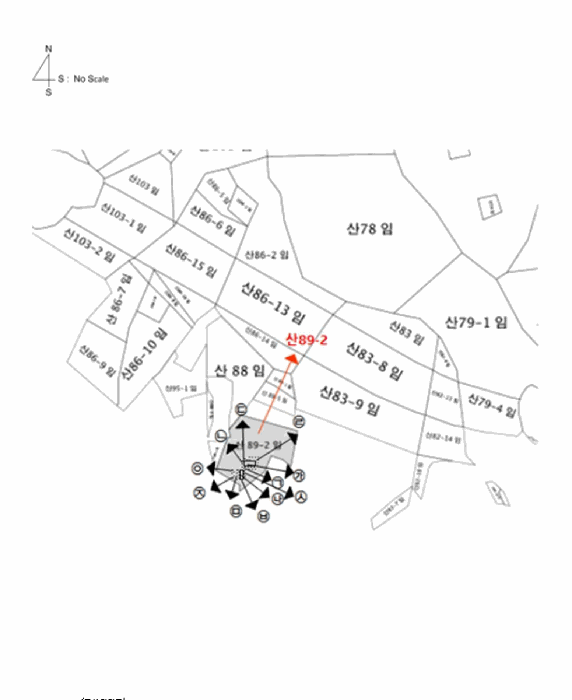 사진 14