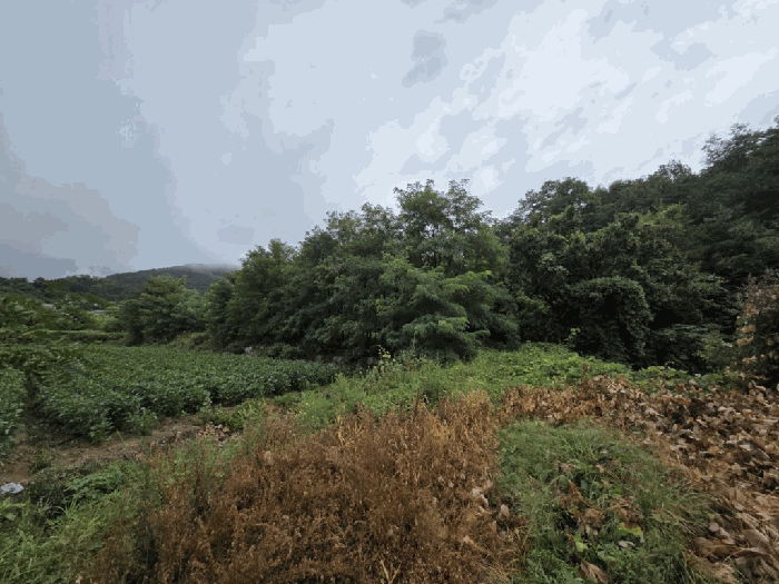 사진 1