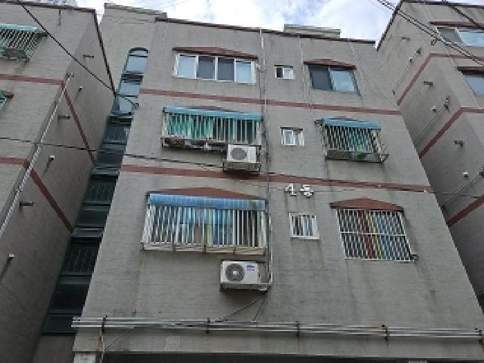 사진 7