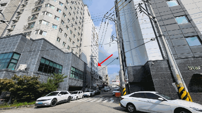 사진 15