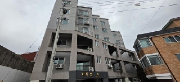 사진 8