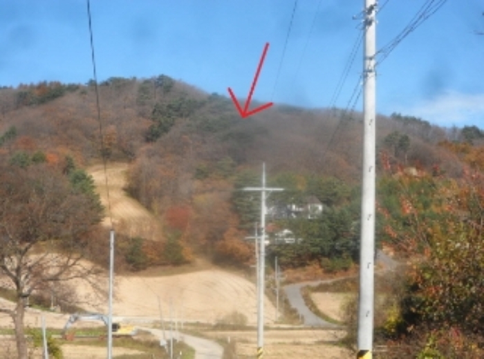 사진 1