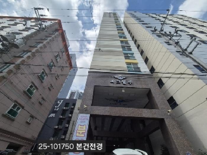사진 2