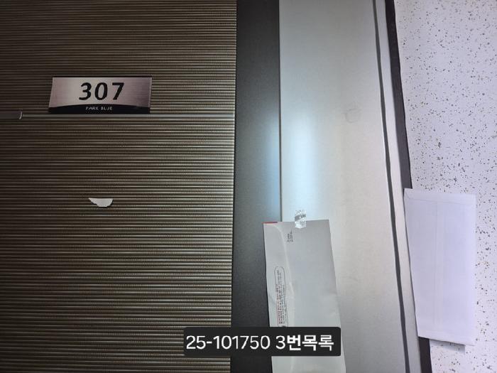 사진 5