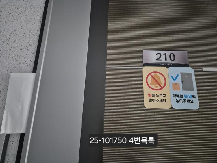 사진 6