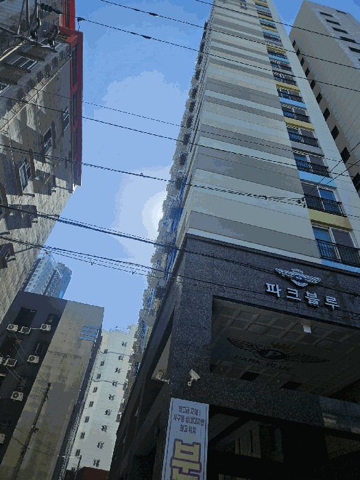 사진 8