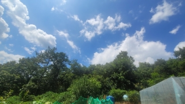 사진 3