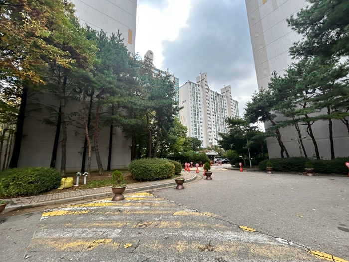 사진 12