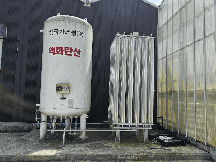 사진 31