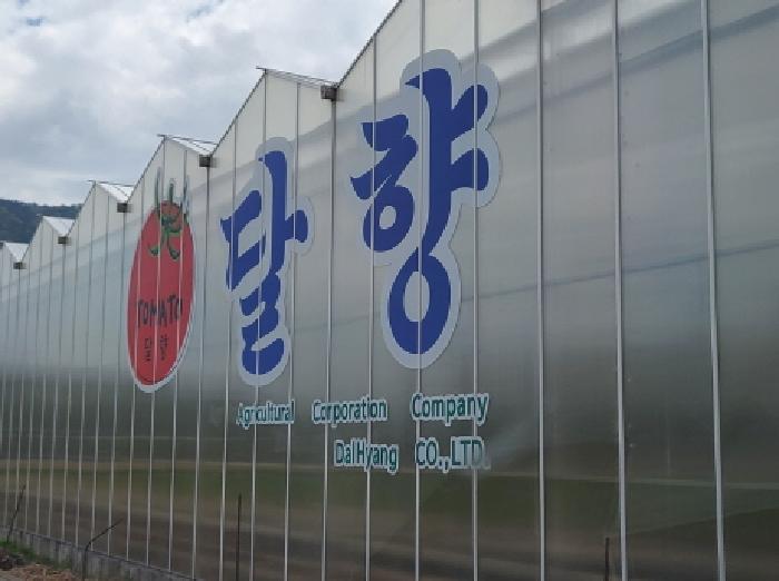 사진 8