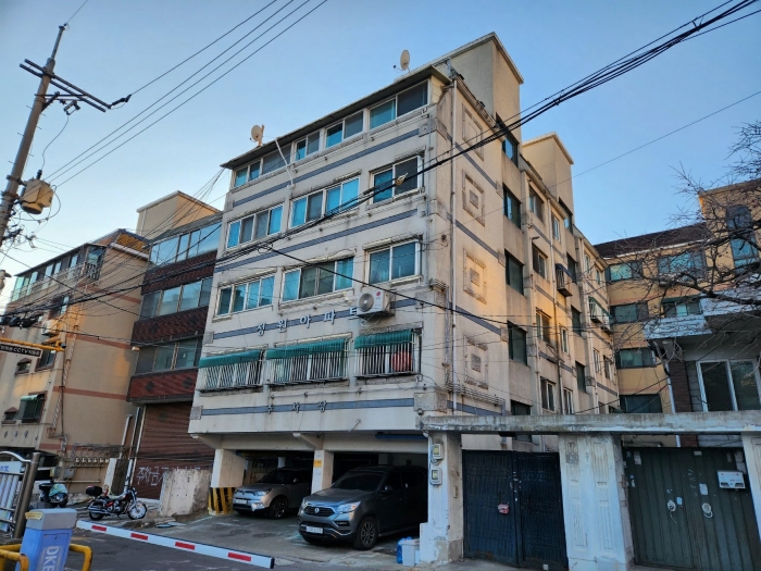 사진 12