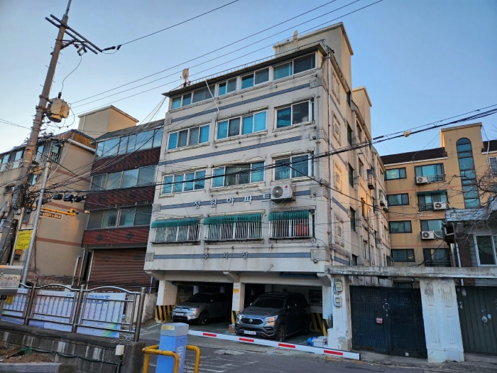 사진 5