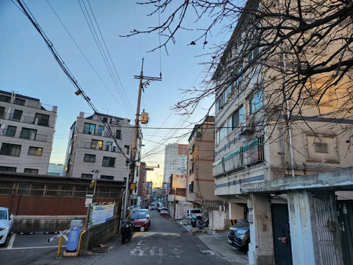 사진 9