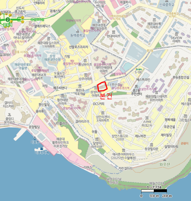 사진 10