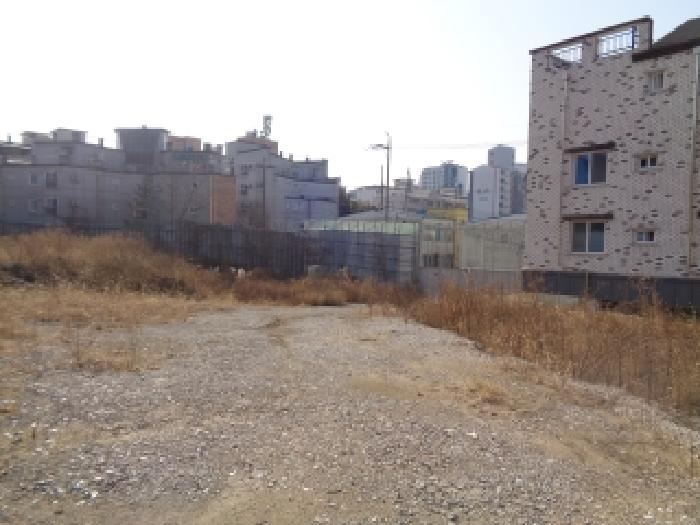 사진 11